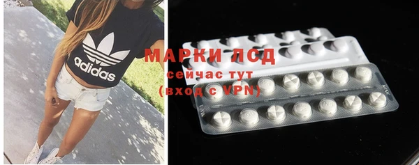 стаф Арсеньев
