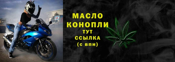 СК Коряжма