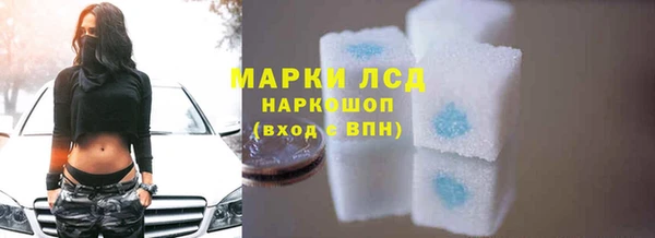 стаф Арсеньев