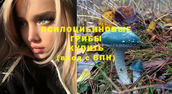 стаф Арсеньев