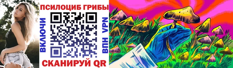 Псилоцибиновые грибы прущие грибы  где купить наркотик  Кубинка 